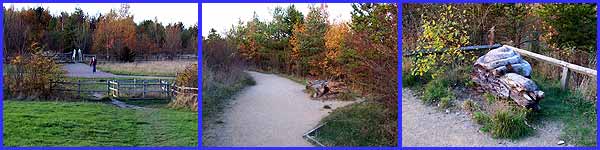 Cinderhill Trail