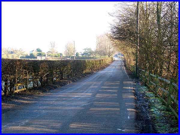 Frosty Verges
