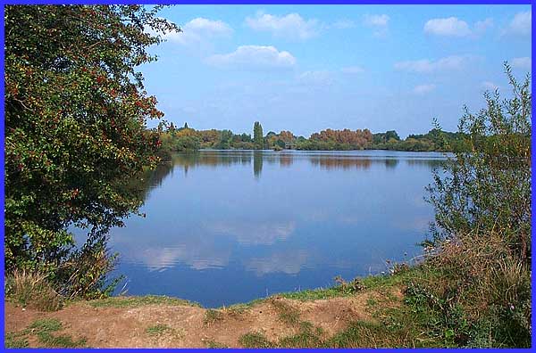 Distant Footbridge