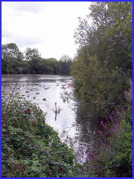 Nature Reserve