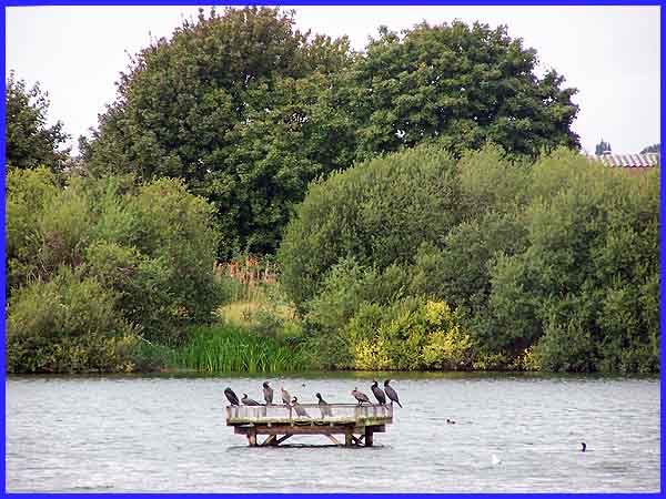 Church Pond