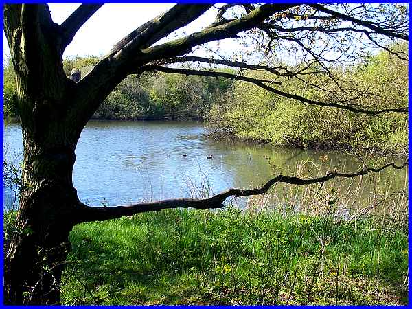 Tween Pond