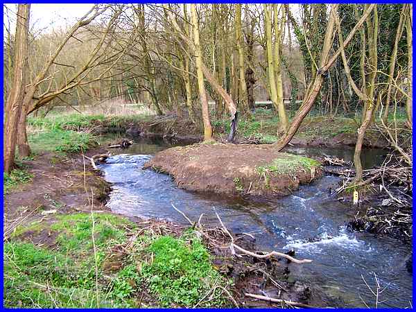 The Nut Brook