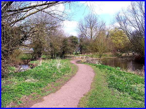 Brook & Lake