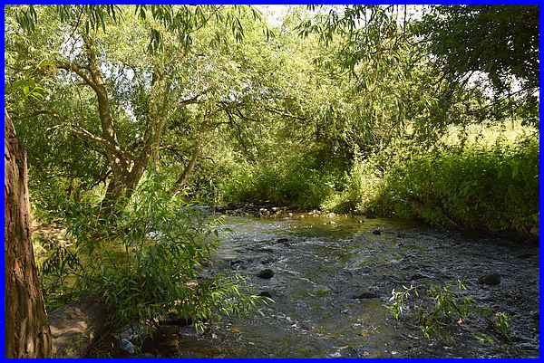 River Erewash