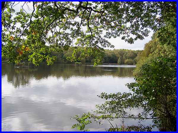 Osborne's Pond