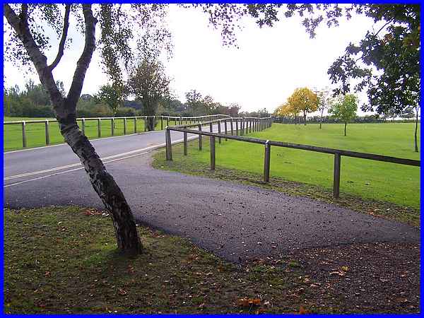 Lane To Derby Lodge