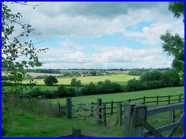 Flat Meadow Farm