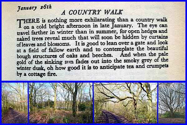 A Country Walk by Patience Strong