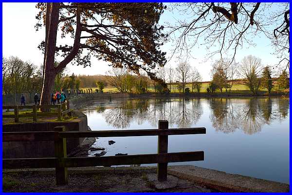 Osborne's Pond