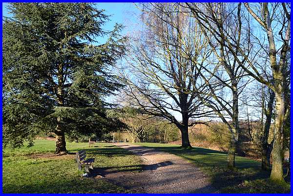 Pond-side Path