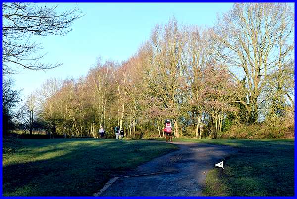 Parkrun