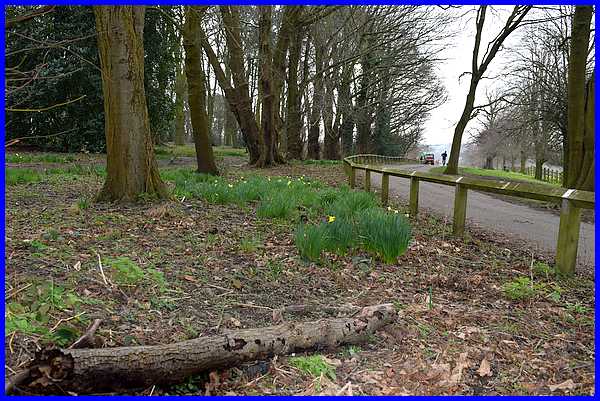 Shipley Lane