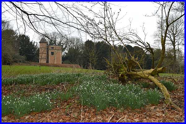 Water Tower