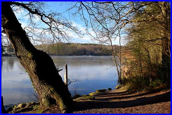 Osborne's Pond
