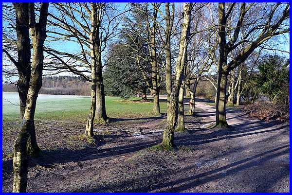 Footpath