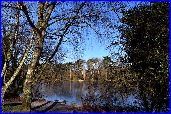 Fishing Platforms