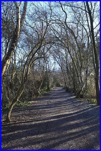 Nutbrook Trail