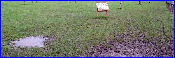 Muddy Ground Conditions