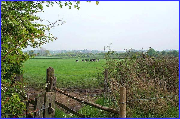 Rural Landscape