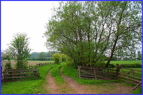 Farm Track