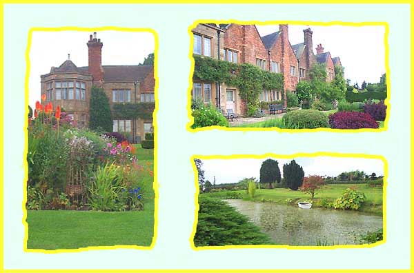 Borders, shrubs and water.