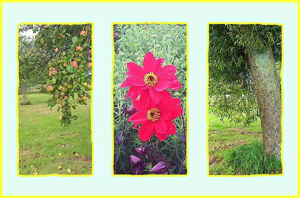 Fruit, flowers and mistletoe.