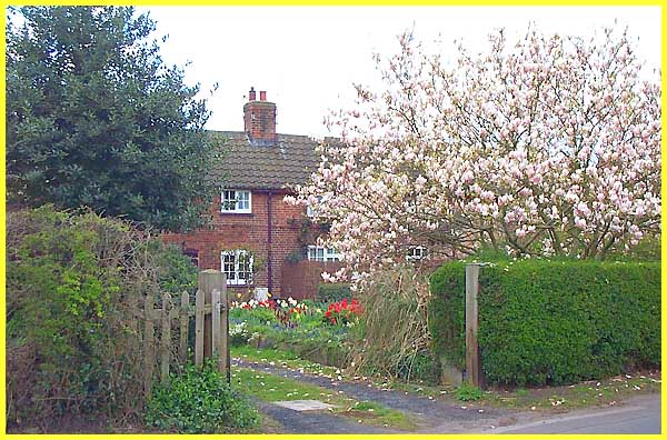 Old Cottages