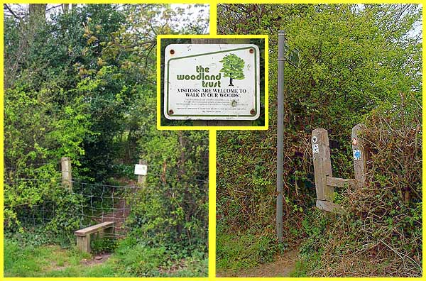 The Woodland Trust