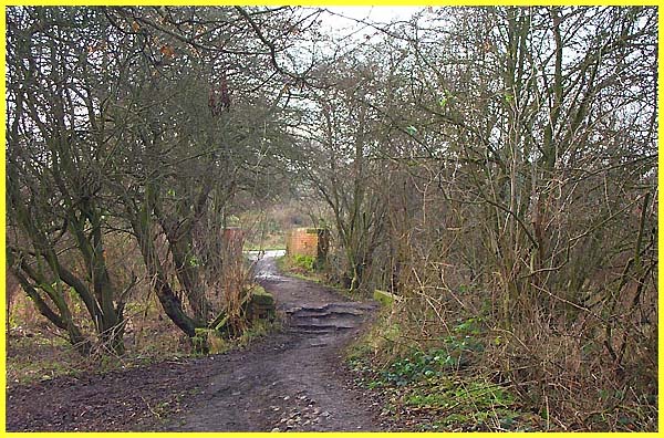 Rutted Footpath