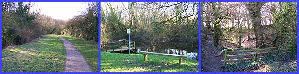 Nottingham Canal Trail - Pond - Grange Wood
