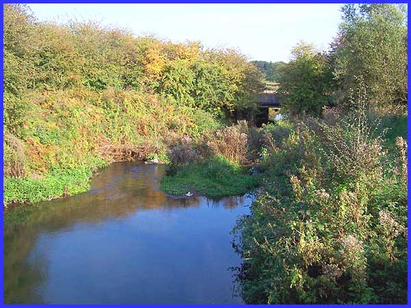 Nut Brook