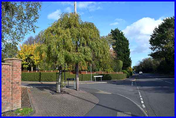 Manor Fields Dr Entrance