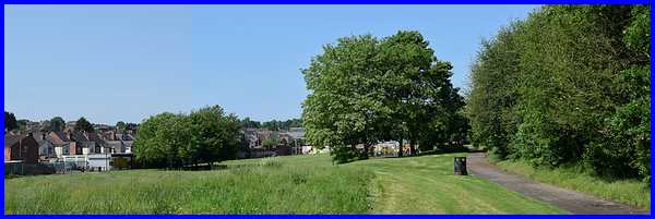 Wash Meadow panorama