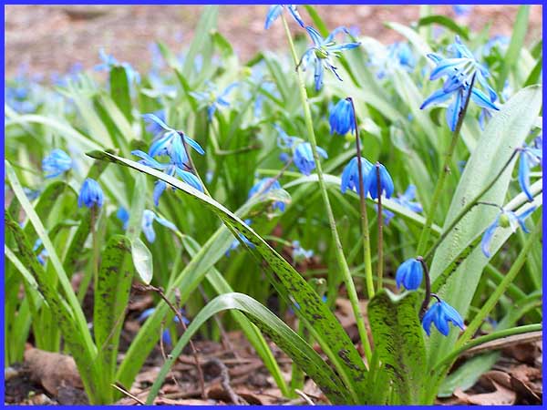 Blue & Green