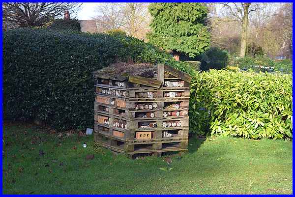 Insect Hotel