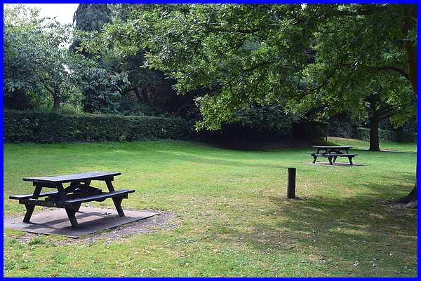 Picnic Area