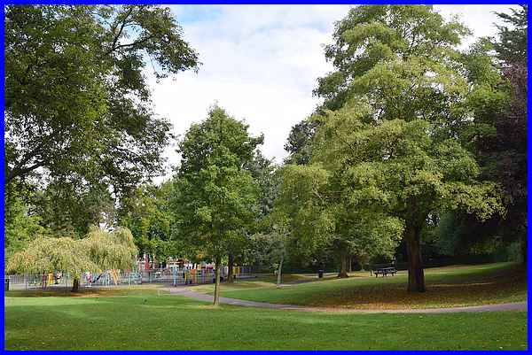 Play Area