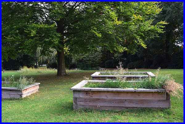 Raised Beds