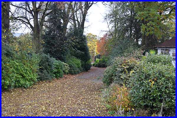 Exit Path