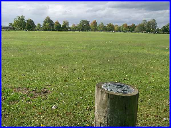 Handkerchief Tree Site
