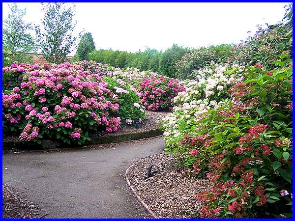 Garden Entrance