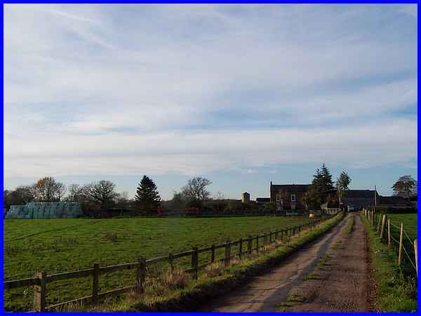 Morley Farm