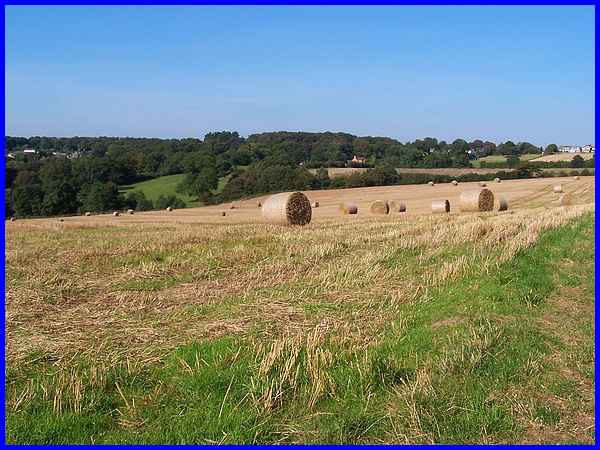 Farmland