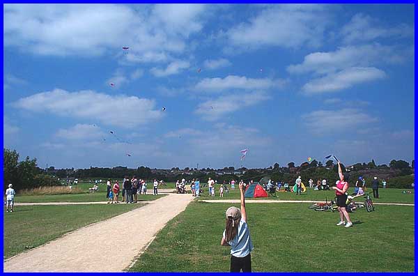 A Sky Full Of Kites