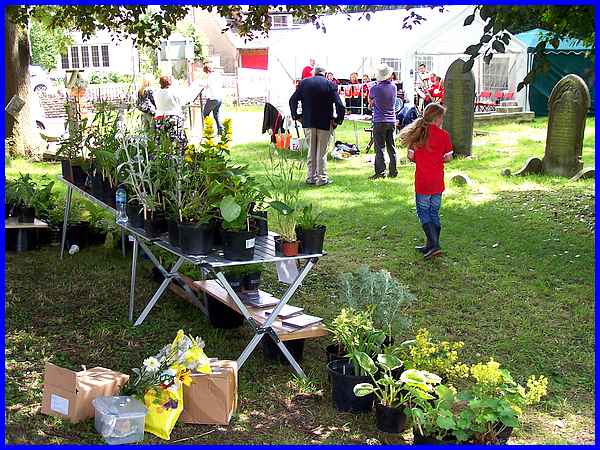 Plant Stall