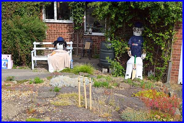 Cricket Match
