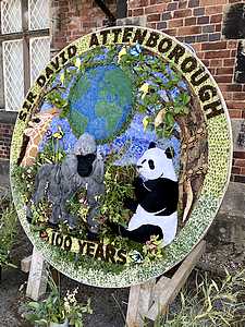 Attenborough 03 - by Jill Croft
